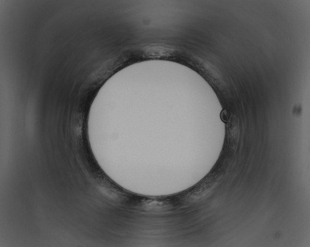 X0000089390315200707131724