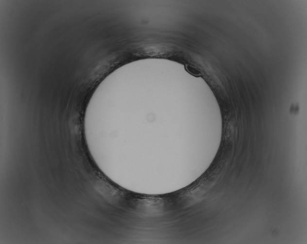X0000089390317200707131724