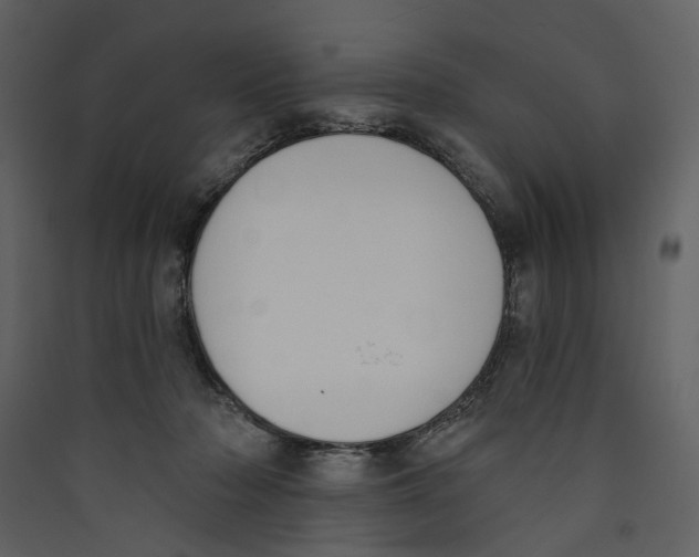 X0000089390318200707131724