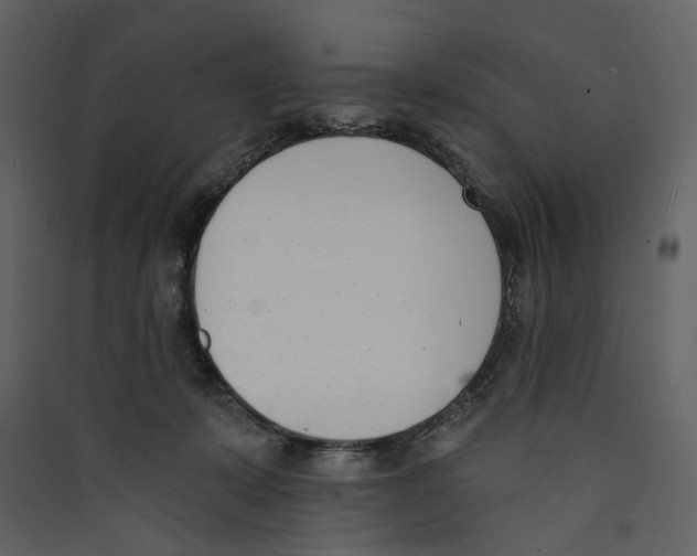 X0000089390319200707131724