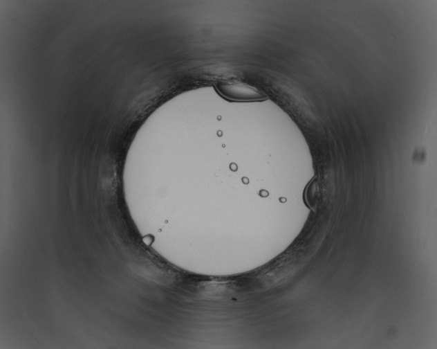 X0000089390320200707131724