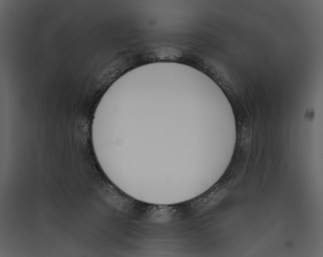 X0000089390321200707131724