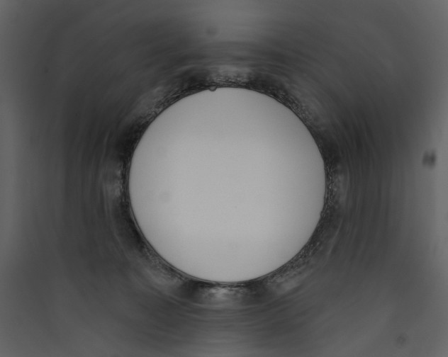 X0000089390323200707131724