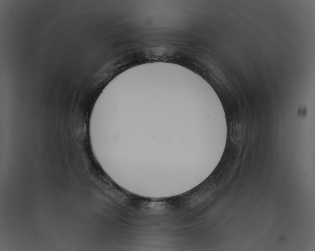 X0000089390324200707131724