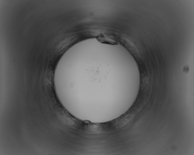 X0000089390325200707131724