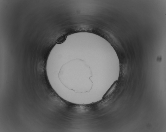 X0000089390326200707131724