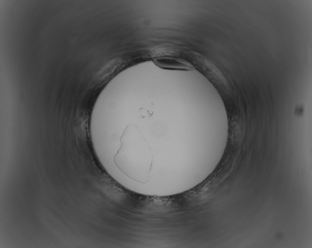 X0000089390329200707131724
