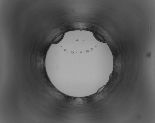 X0000089390330200707131724