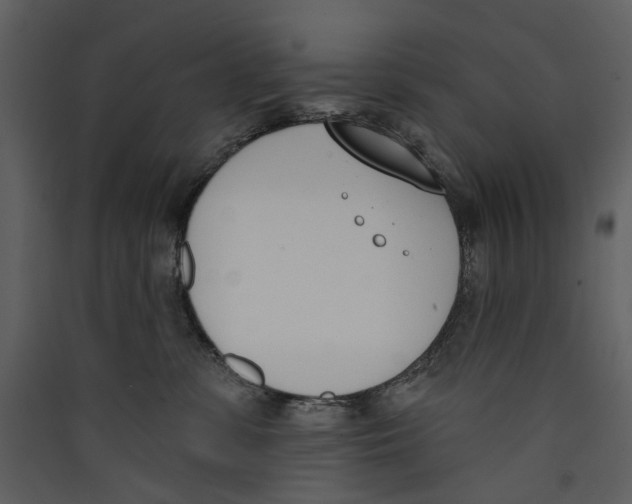 X0000089390331200707131724