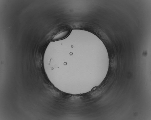 X0000089390332200707131724