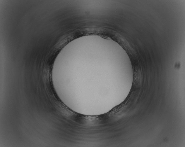 X0000089390333200707131724