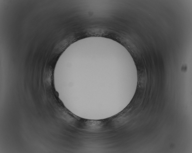 X0000089390334200707131724