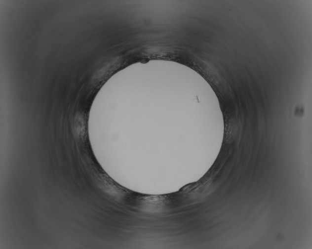 X0000089390335200707131724