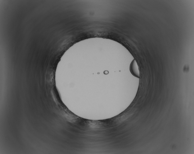 X0000089390336200707131724