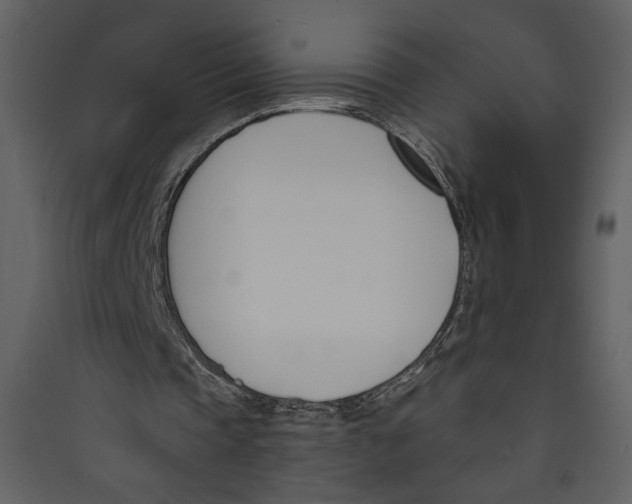 X0000089390337200707131724