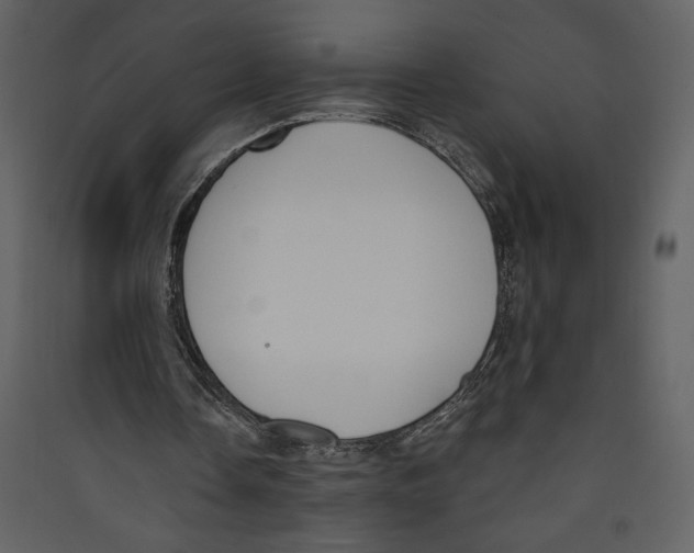 X0000089390338200707131724
