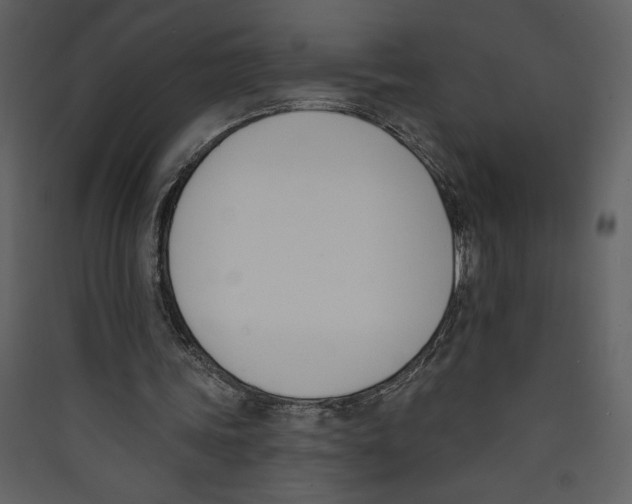 X0000089390339200707131724