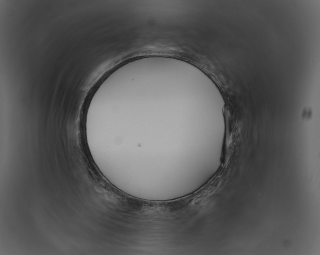 X0000089390340200707131724
