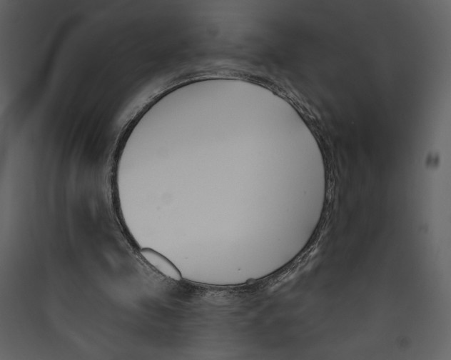 X0000089390341200707131724