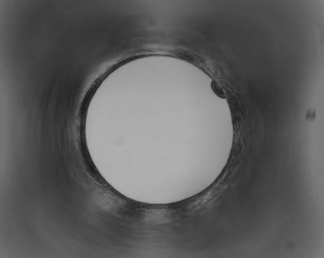 X0000089390342200707131724