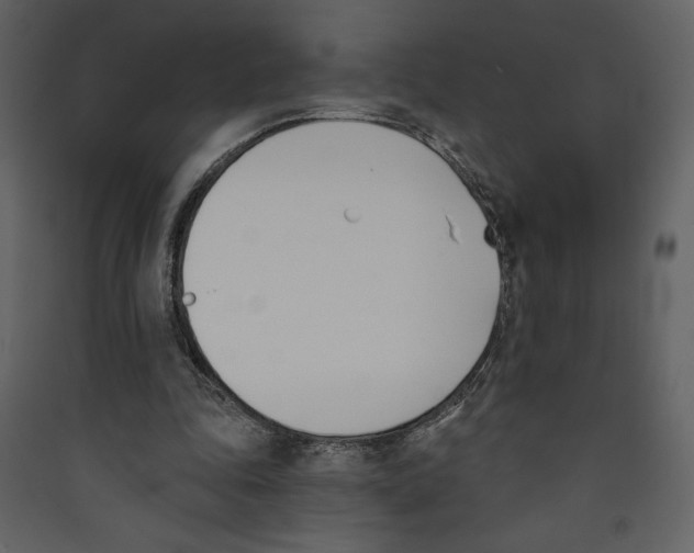 X0000089390343200707131724