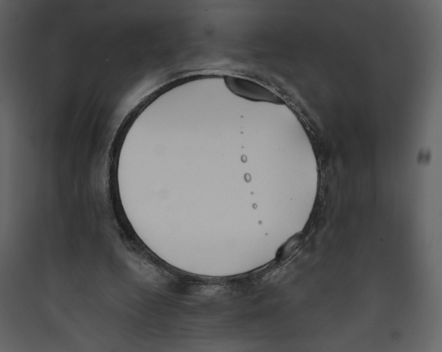 X0000089390344200707131724