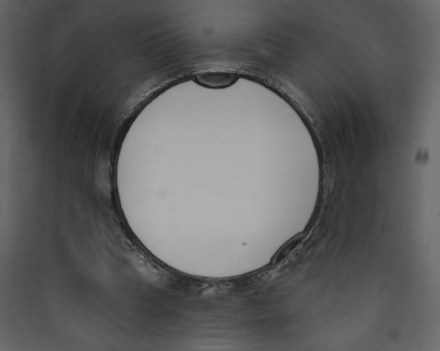 X0000089390345200707131724