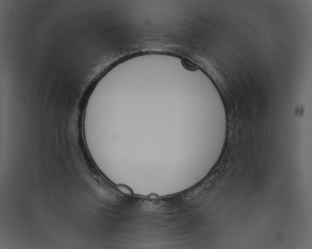 X0000089390346200707131724