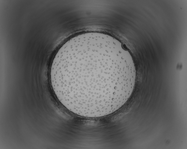 X0000089390347200707131724