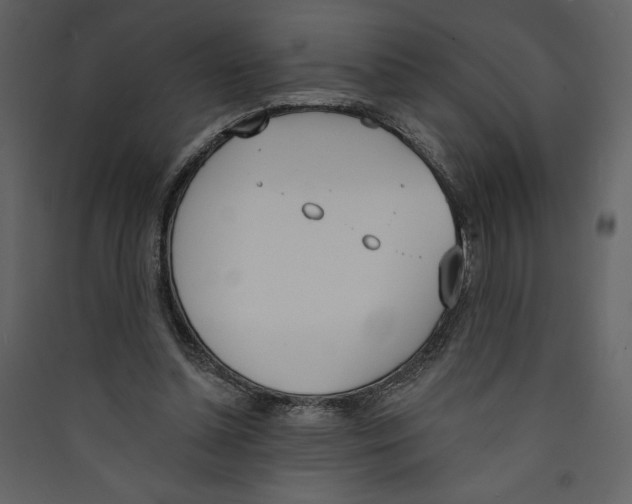 X0000089390348200707131724
