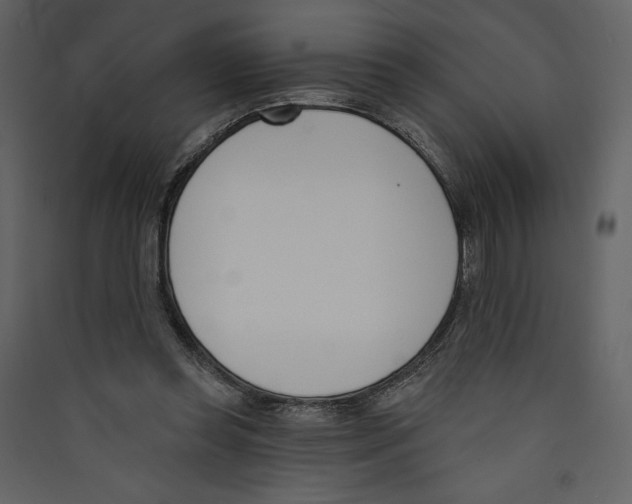 X0000089390349200707131724