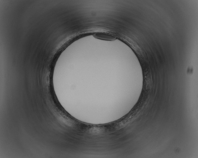 X0000089390350200707131724