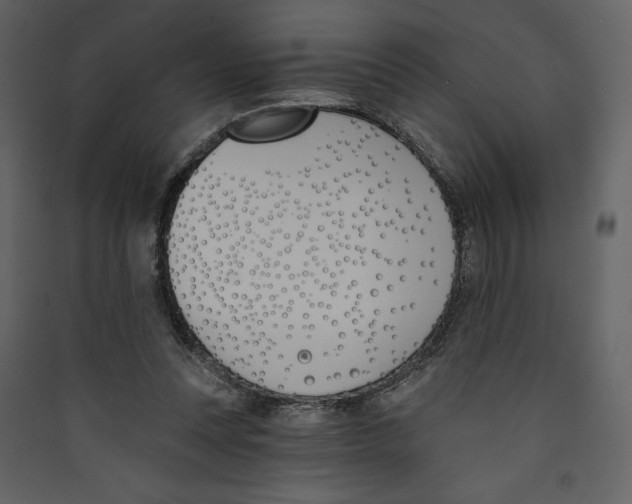 X0000089390351200707131724