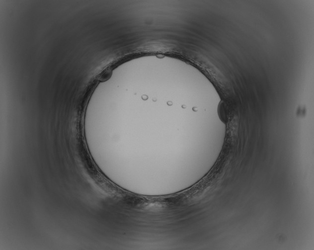 X0000089390352200707131724