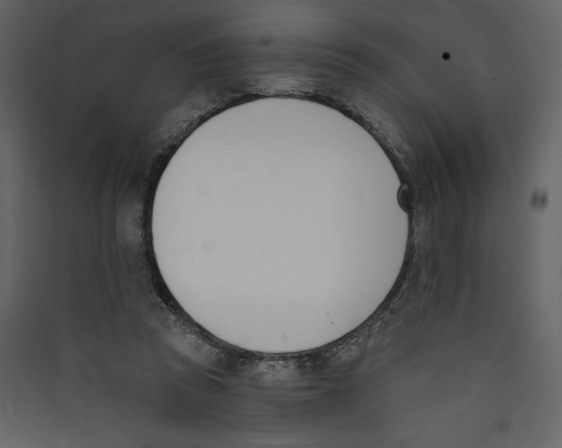 X0000089390353200707131724