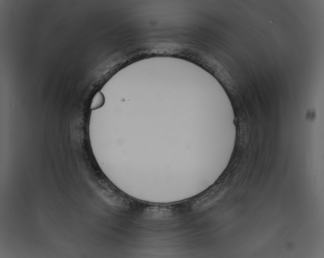 X0000089390354200707131724