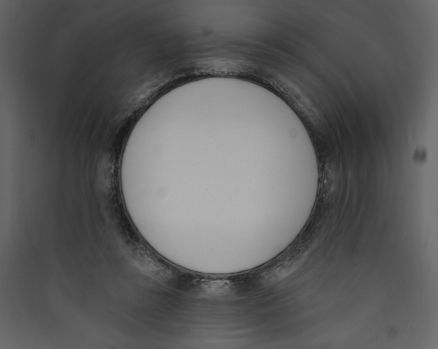 X0000089390355200707131724