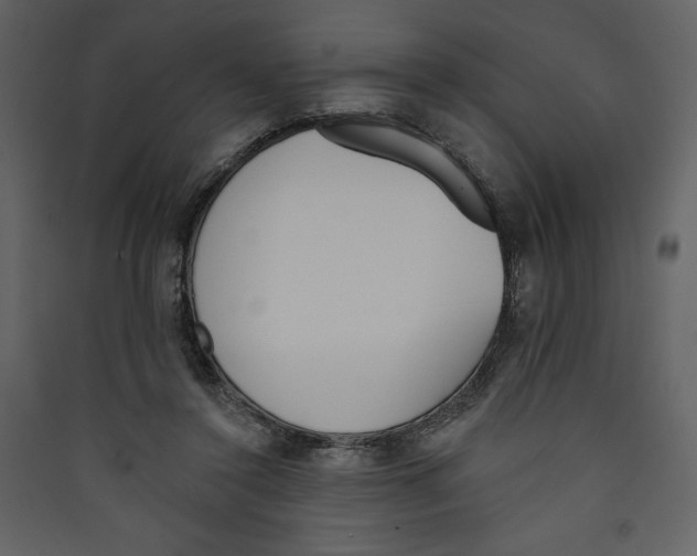 X0000089390356200707131724