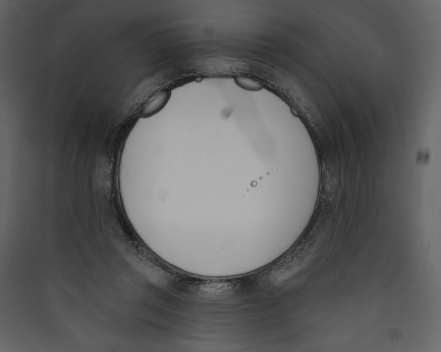 X0000089390357200707131724