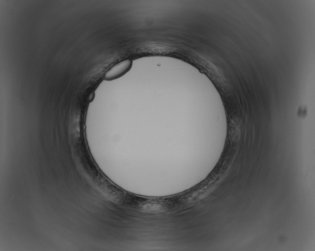 X0000089390358200707131724