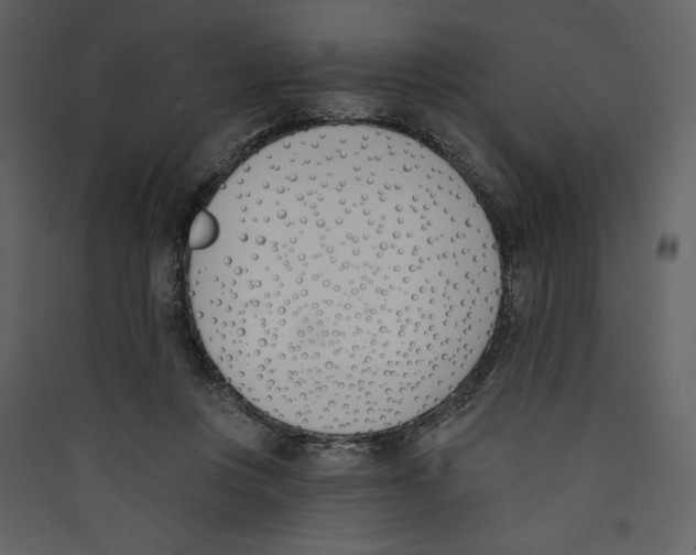 X0000089390359200707131724