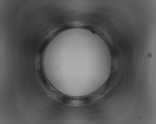 X0000089390360200707131724