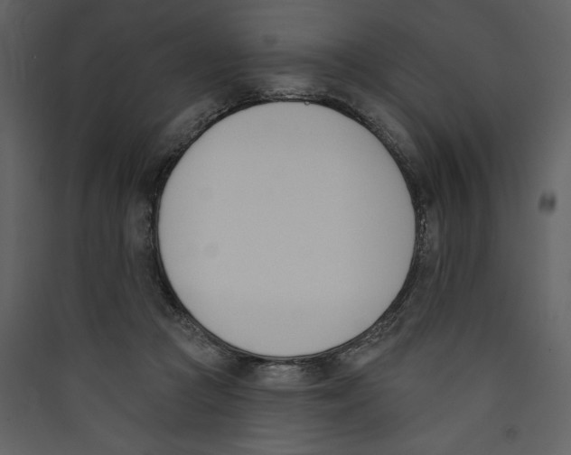 X0000089390361200707131724