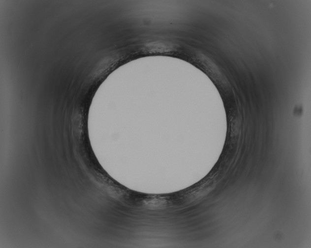 X0000089390362200707131724