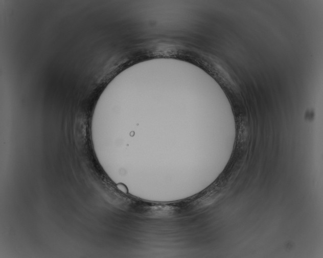 X0000089390363200707131724