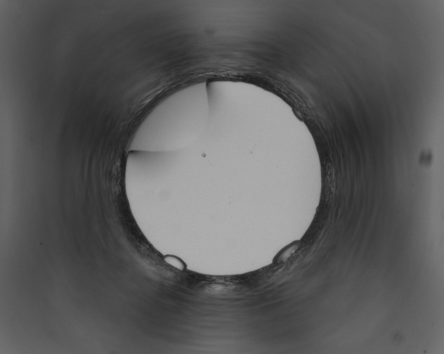 X0000089390364200707131724