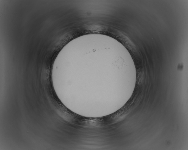 X0000089390365200707131724