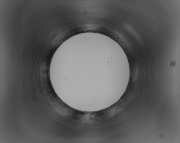 X0000089390366200707131724
