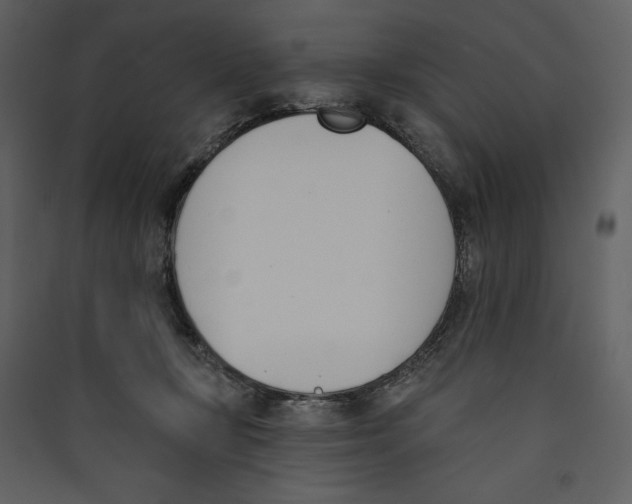 X0000089390367200707131724