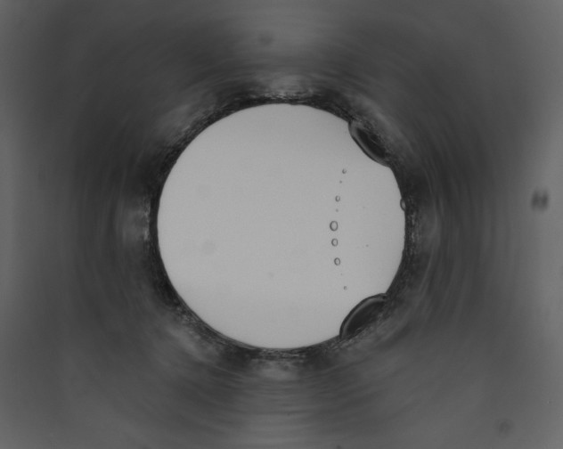X0000089390368200707131724